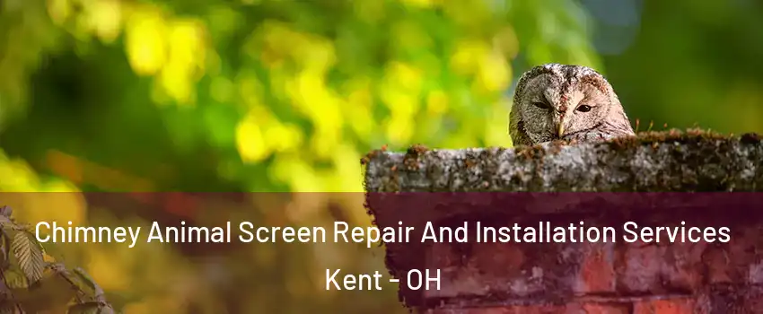  Chimney Animal Screen Repair And Installation Services Kent - OH
