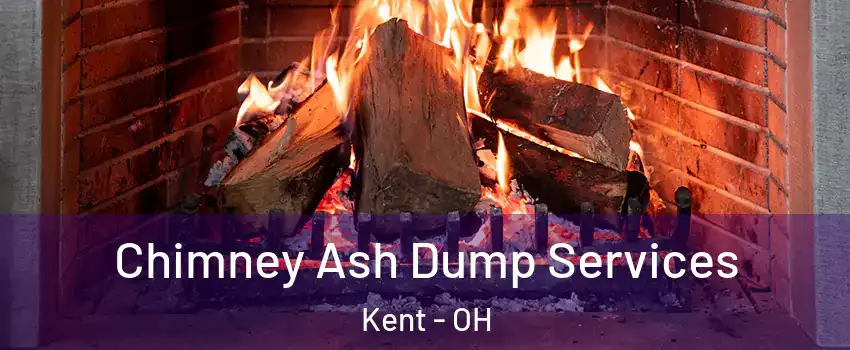  Chimney Ash Dump Services Kent - OH