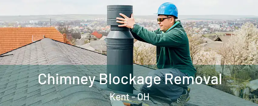  Chimney Blockage Removal Kent - OH