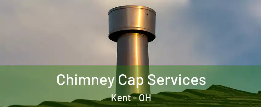 Chimney Cap Services Kent - OH