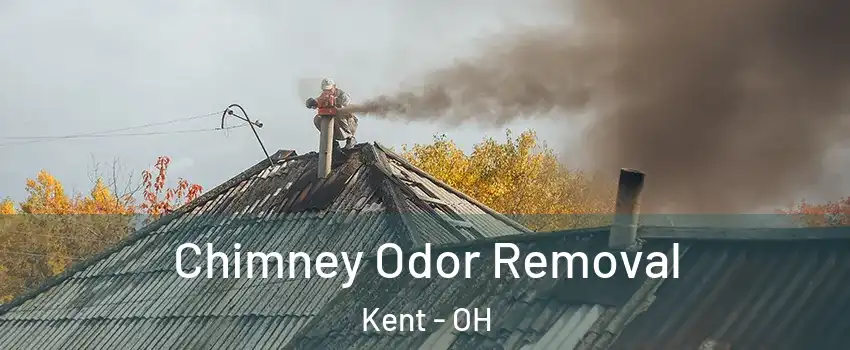  Chimney Odor Removal Kent - OH