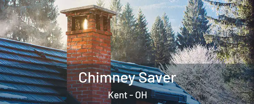  Chimney Saver Kent - OH