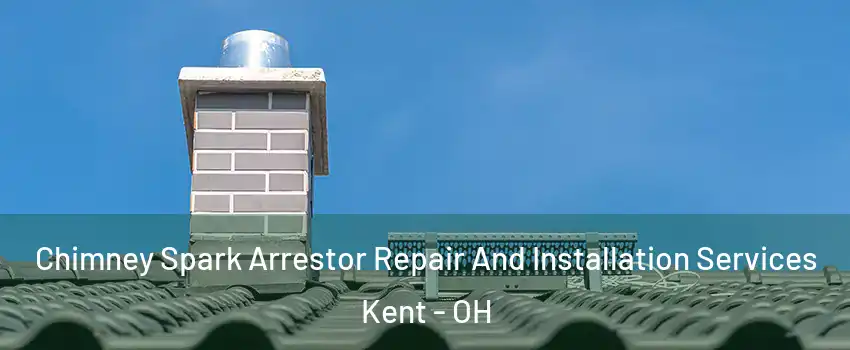  Chimney Spark Arrestor Repair And Installation Services Kent - OH