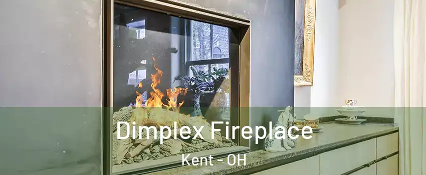 Dimplex Fireplace Kent - OH