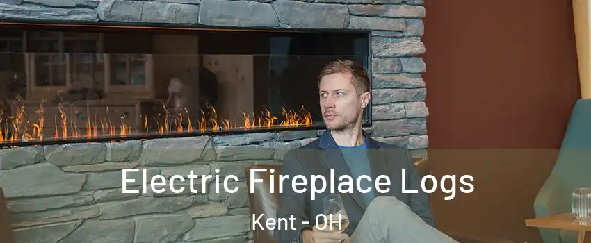  Electric Fireplace Logs Kent - OH