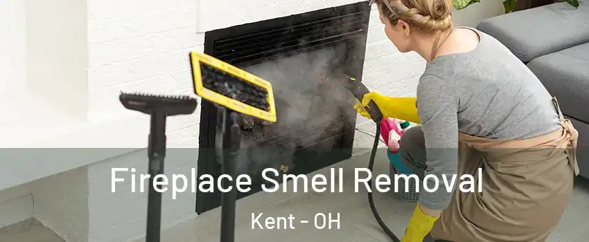  Fireplace Smell Removal Kent - OH