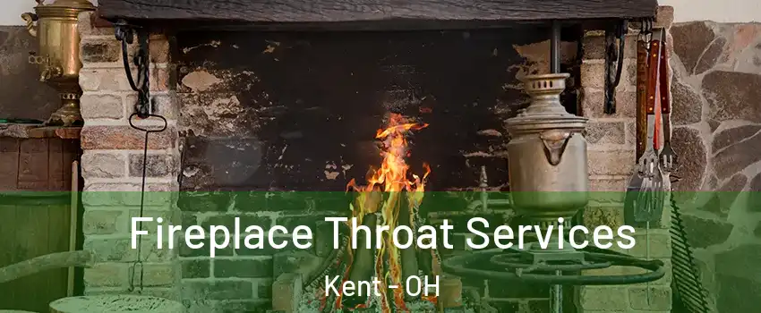  Fireplace Throat Services Kent - OH