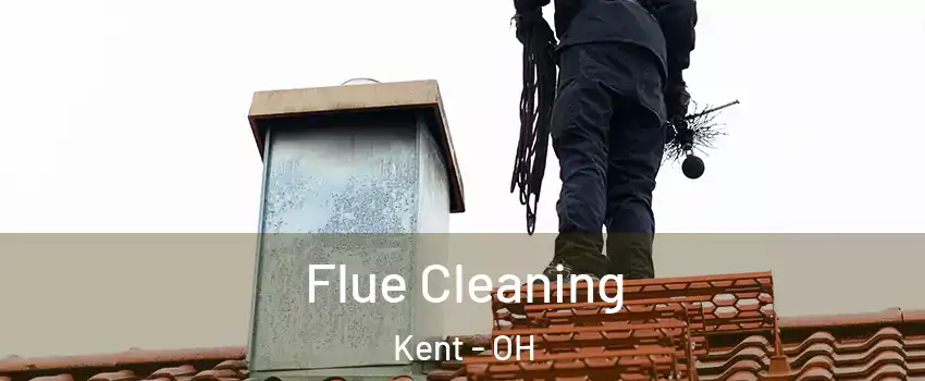  Flue Cleaning Kent - OH
