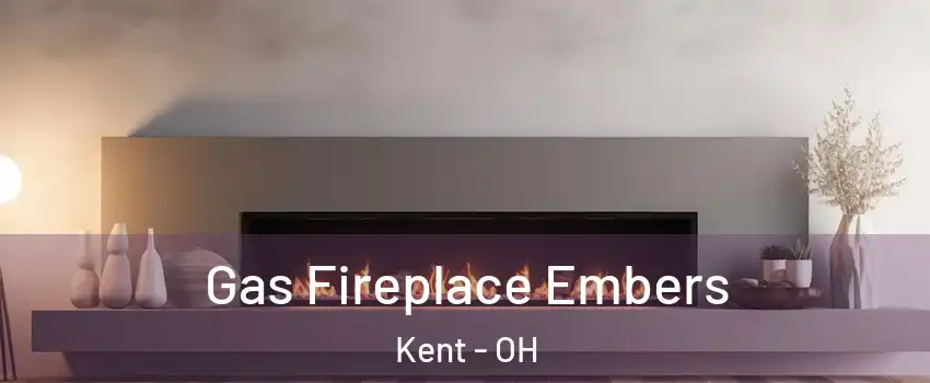  Gas Fireplace Embers Kent - OH
