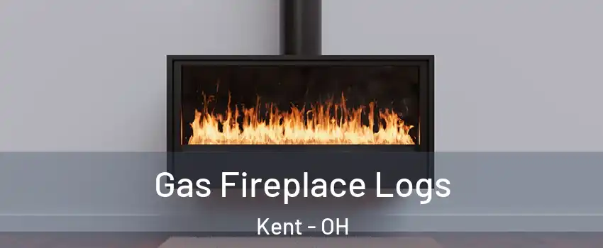  Gas Fireplace Logs Kent - OH