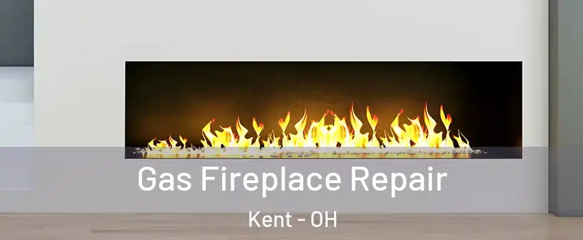  Gas Fireplace Repair Kent - OH