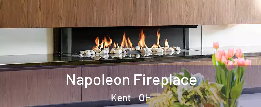  Napoleon Fireplace Kent - OH