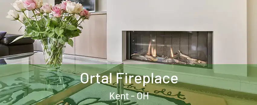 Ortal Fireplace Kent - OH