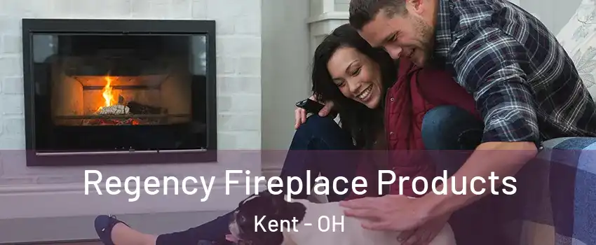  Regency Fireplace Products Kent - OH